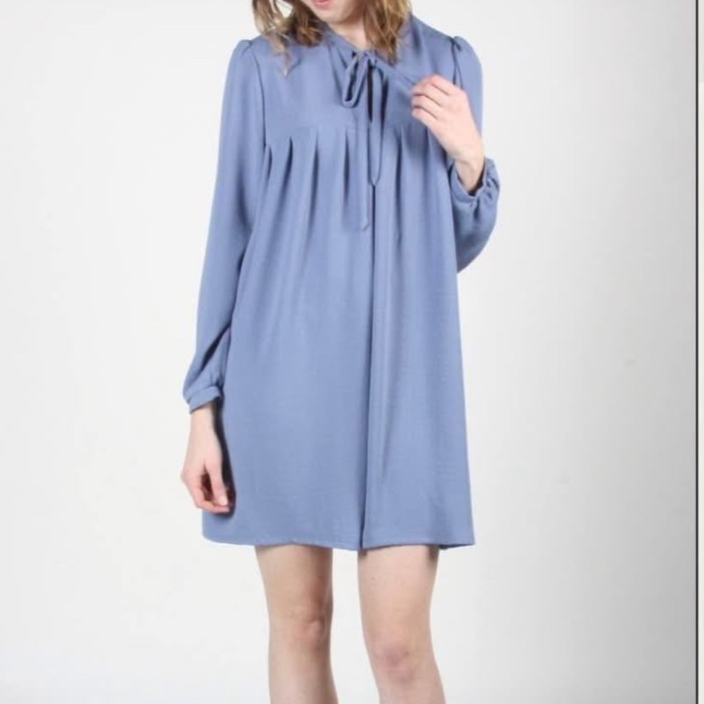 Birds of North America Black Ducks Dress